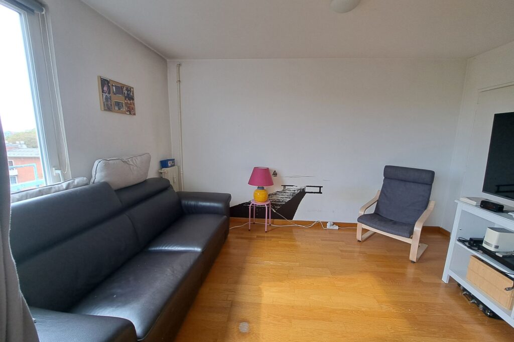 appartement lumineux lille salon facilimmo59