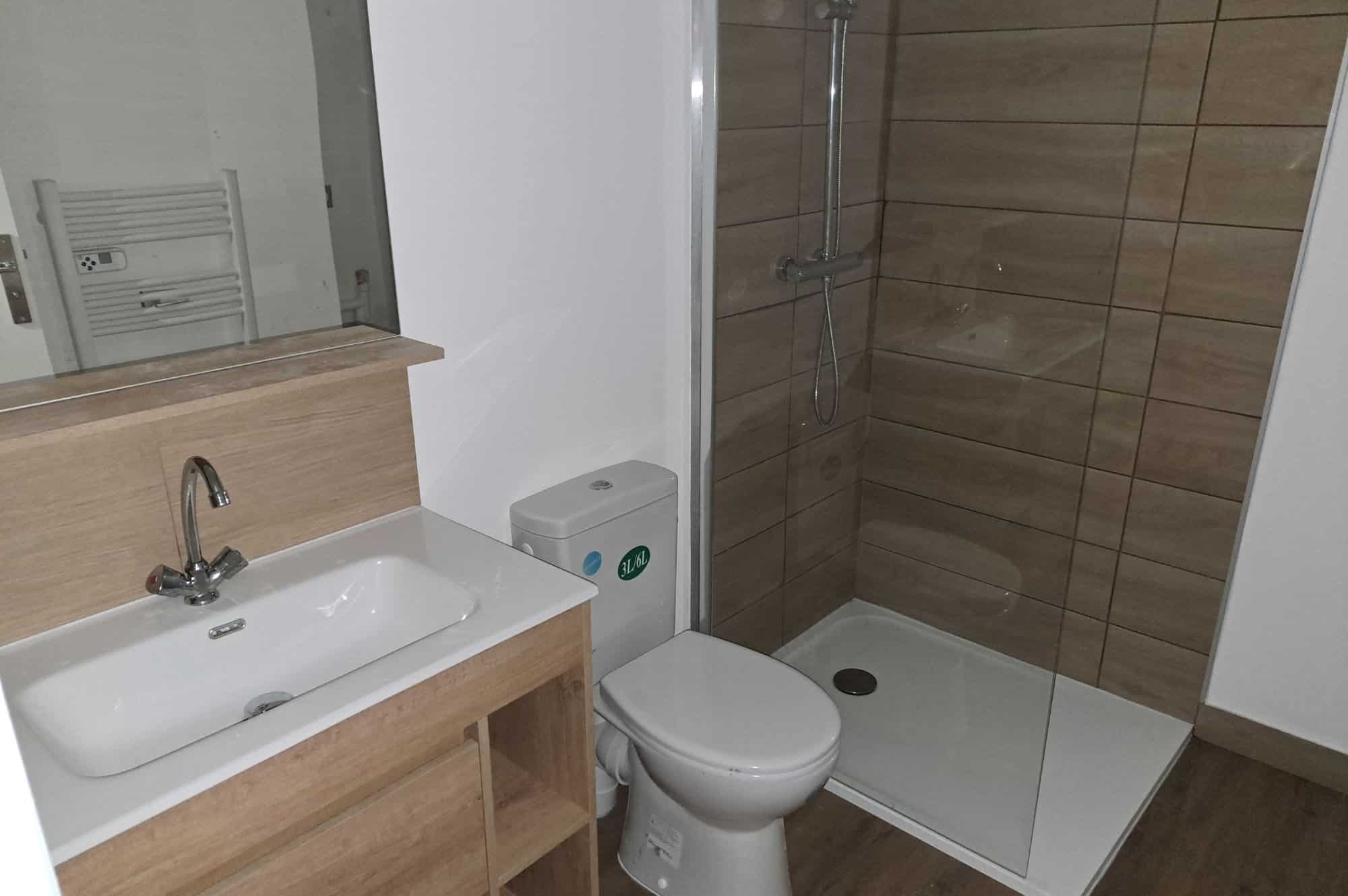 salle bain neuve immeuble rapport commerce bouche grand appartement