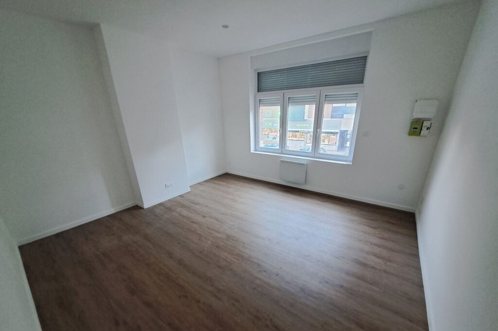 salon immeuble rapport commerce bouche grand appartement refait neuf