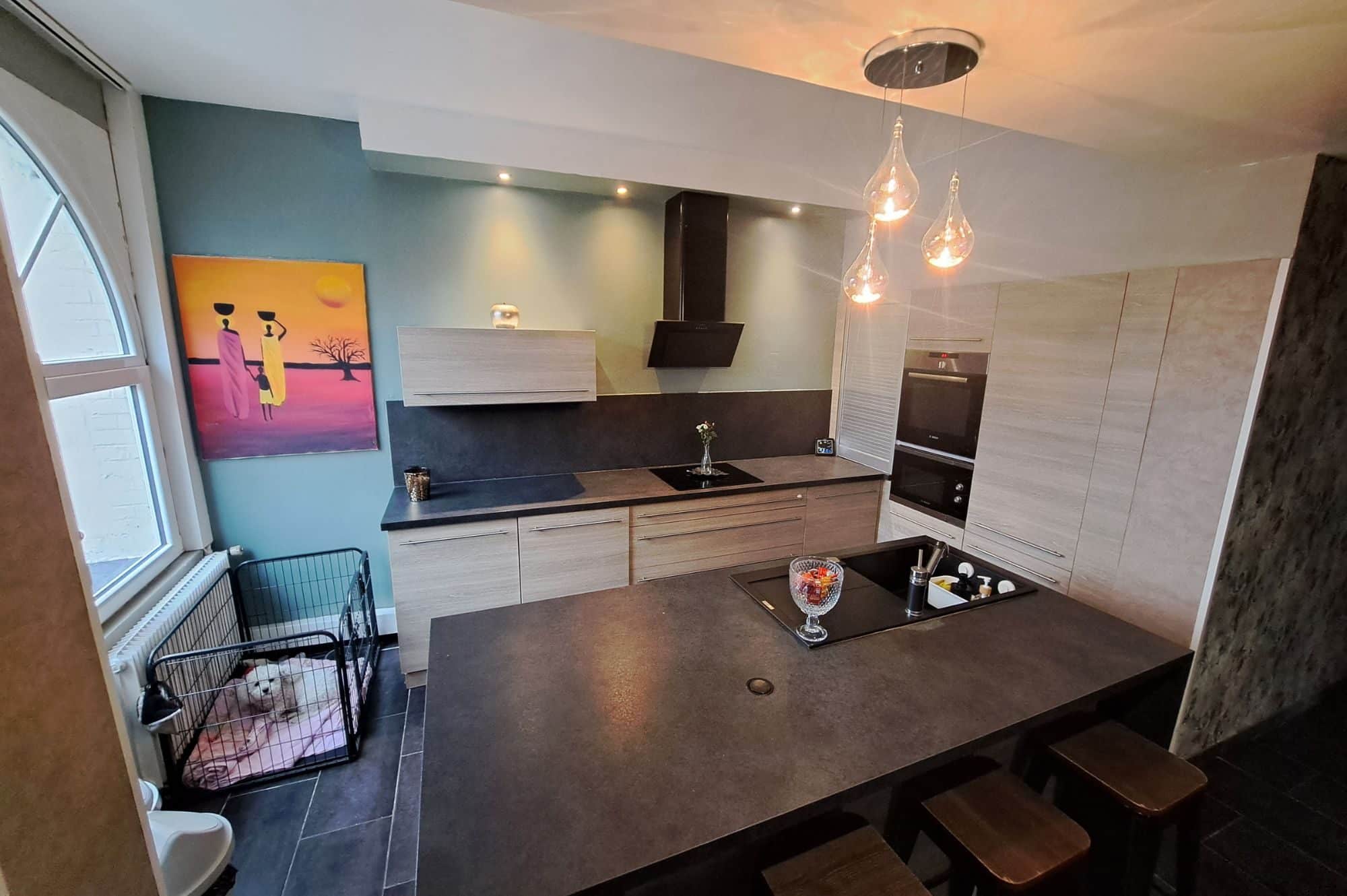 cusisine equipee maison pecquencourt a vendre facilimmo59