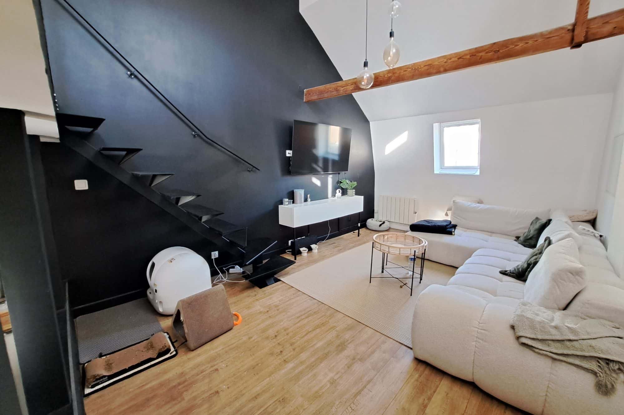 immeuble rapport lezennes belle piece a vivre lumineuse appartement